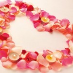 Adorable Rose Petals Adorable Rose Petals