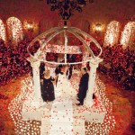 Adorable Wedding Decoration and Rose Petals Adorable Wedding Decoration and Rose Petals