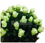green_wholesale_roses_5