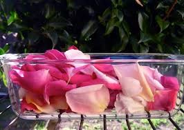 How To Dry Rose Petals by Air Drying Method