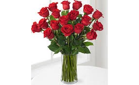 cut roses use