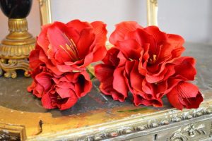 Amaryllis Flowers for Wedding