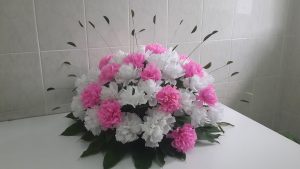 Fresh Wholesale Carnations