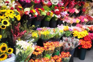 fresh cut flowers in wholesale