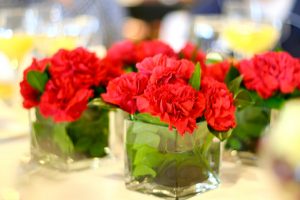 Fresh Wholesale Carnations