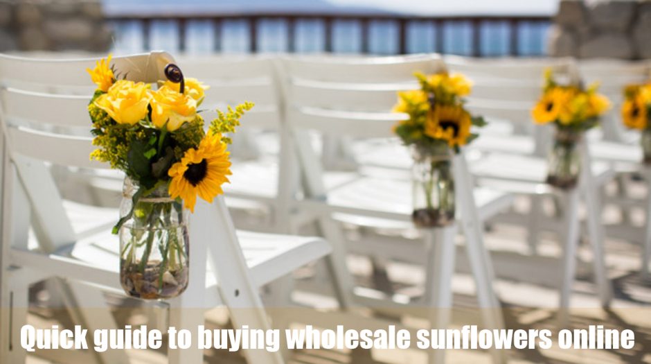 Wholesale sunflowers