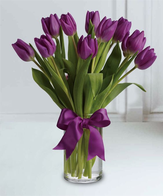 purple tulip flowers with vase