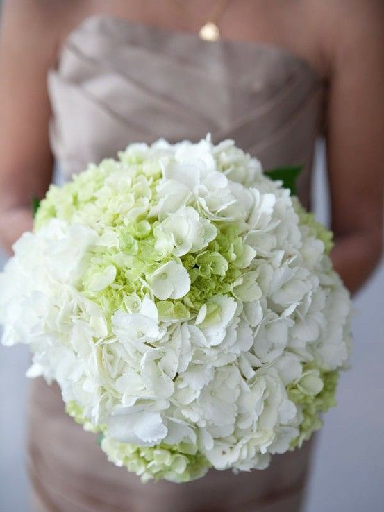 white hydrangea bouquet
