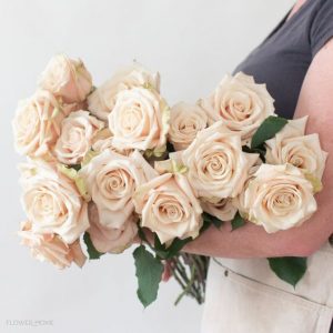 sahara roses