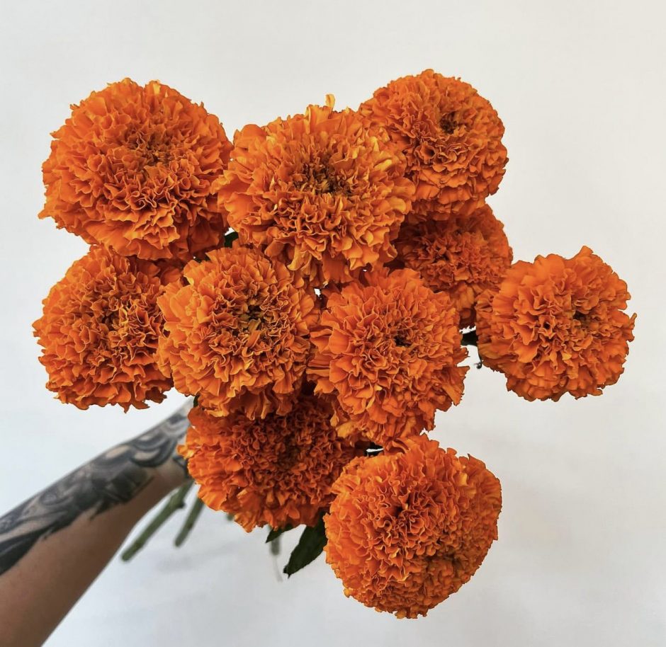 marigolds