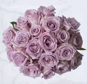 Lavender roses.