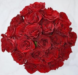 Red roses.