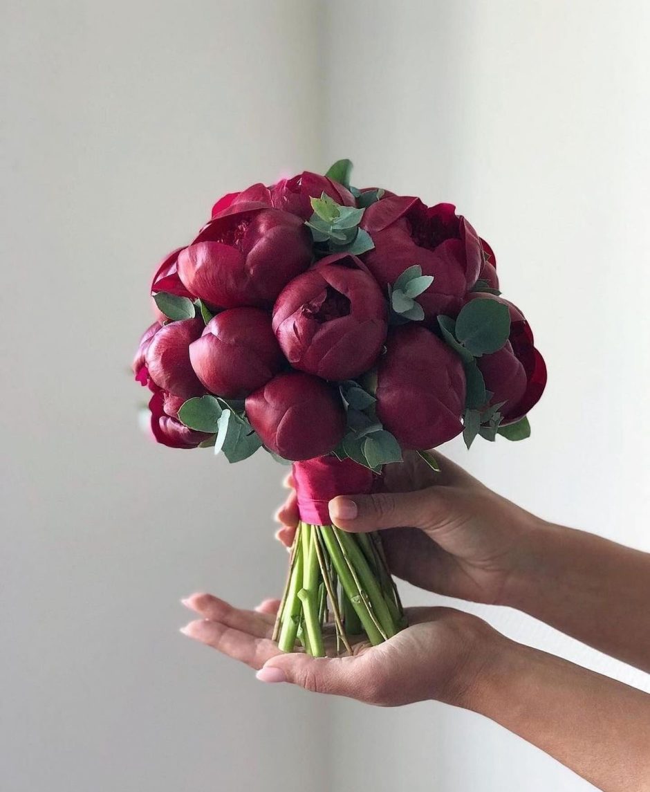 Bouquet of red peonies.