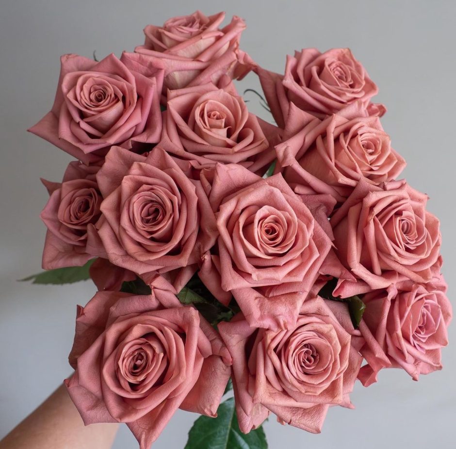 Bouquet of dark pink Barista roses.