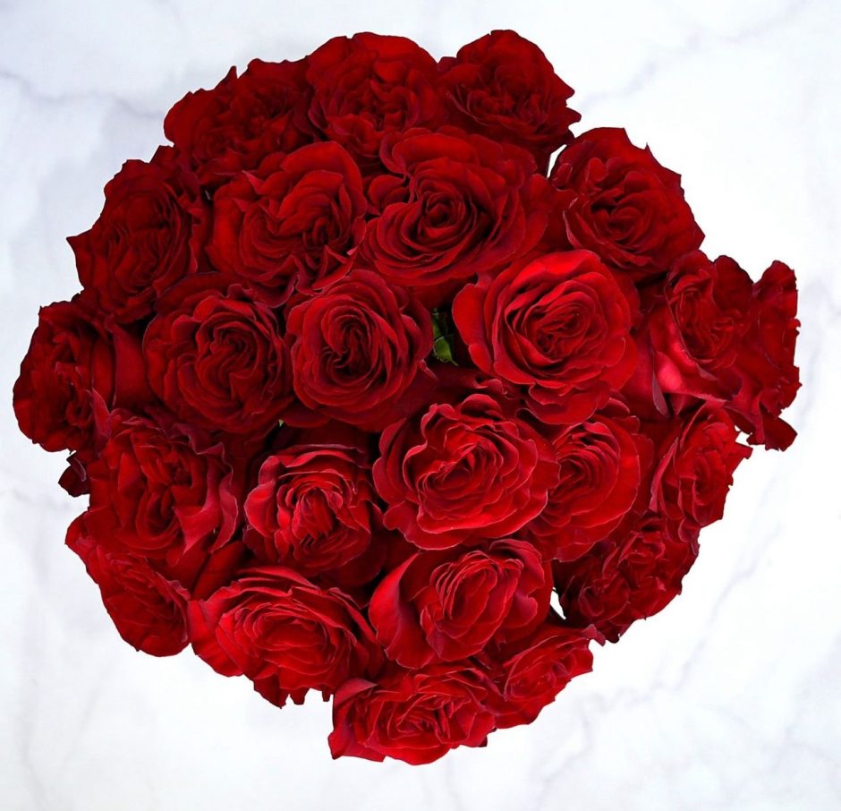 Hearts red roses.