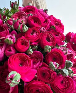Woman holding large bouquet of red ranunculus.