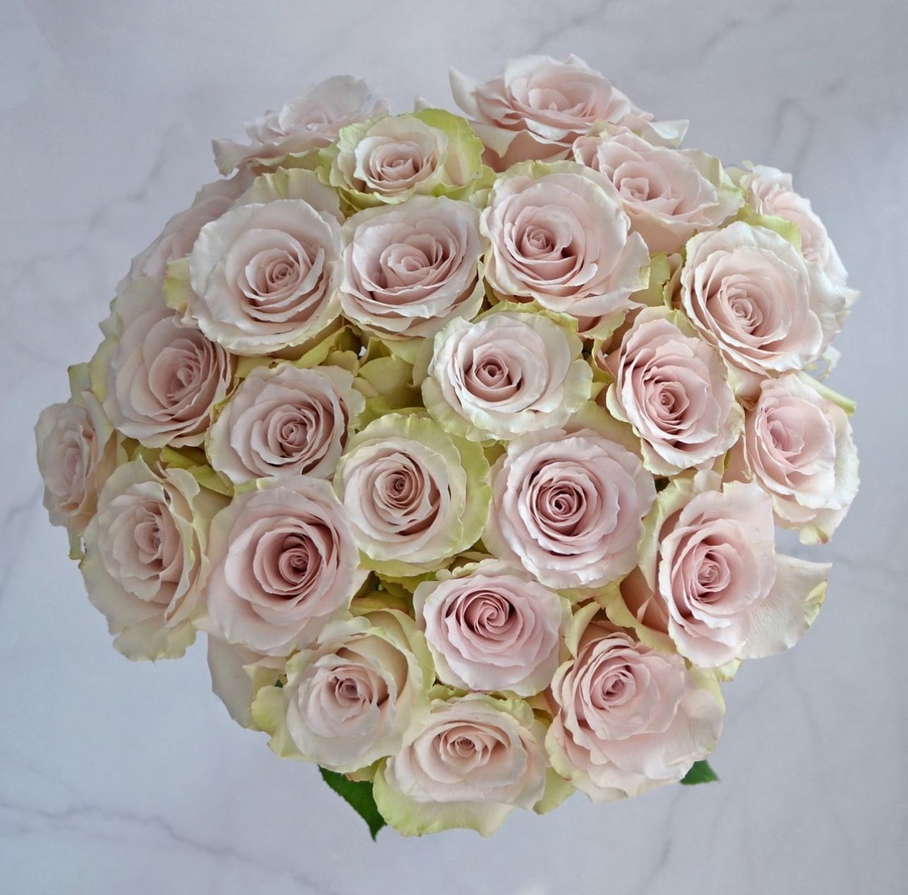 Quicksand Mini Roses Unconventional Beauty: Quicksand Roses at Weddings