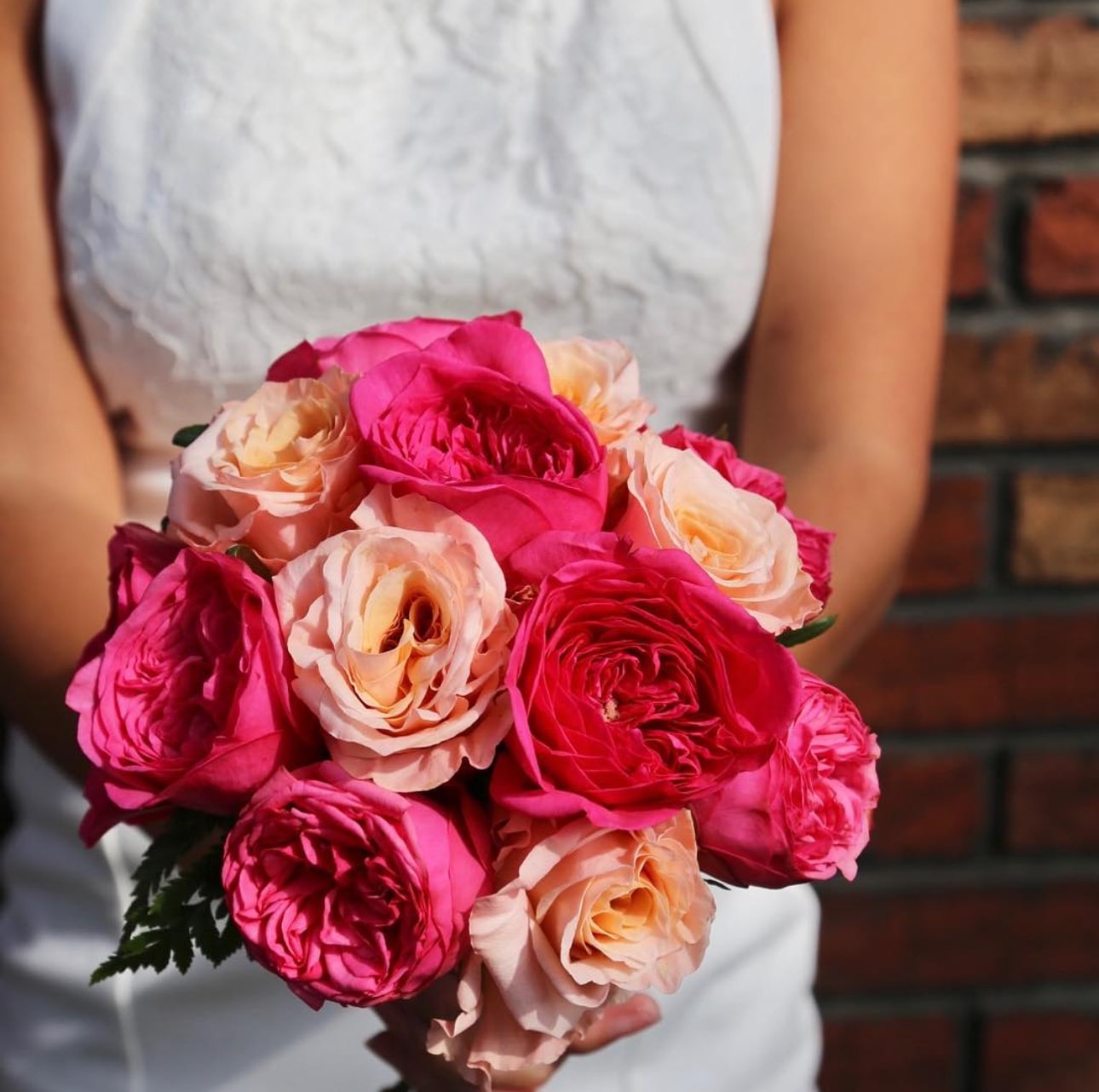 Embracing Nature and Love with Baronesse Garden Roses