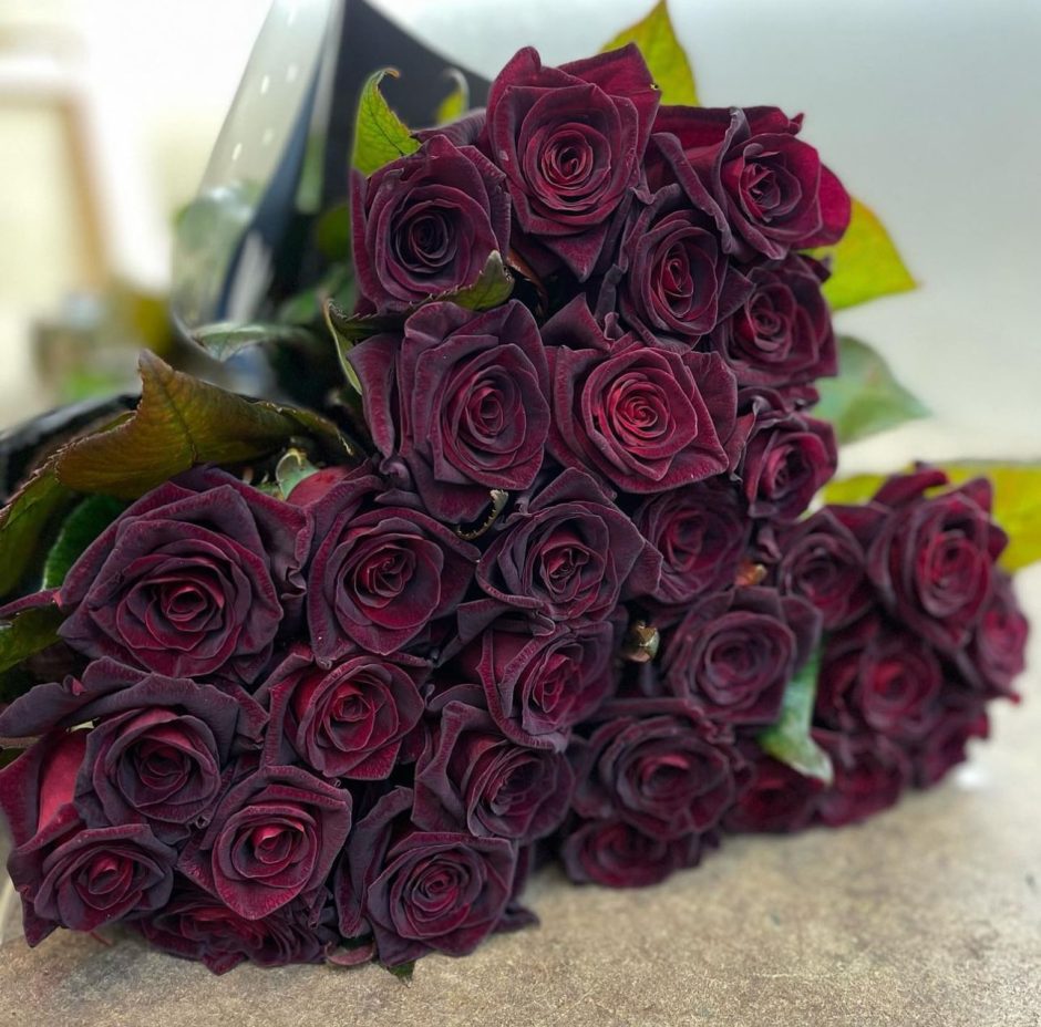 Black baccara roses.