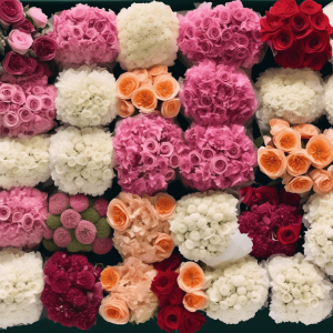 Assorted bulk flowers in vibrant colors, including pink hydrangeas, white roses, peach garden roses, and deep red blooms, arranged in neat clusters. These flowers are perfect for large events, offering a variety of stylish and elegant options for weddings, galas, and corporate gatherings.