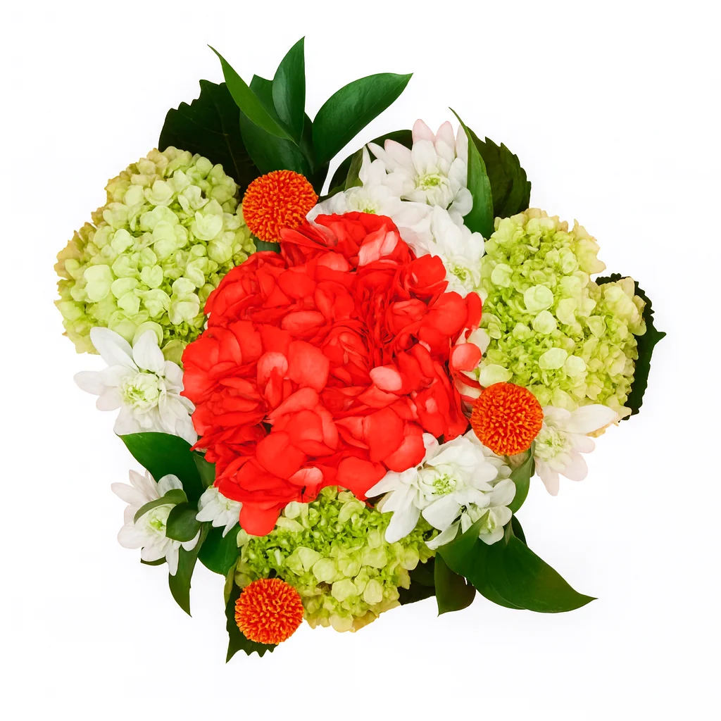 Festive centerpiece with red painted hydrangea, green mini hydrangeas, white pompons, red craspedia accents, and lush green ruscus.
