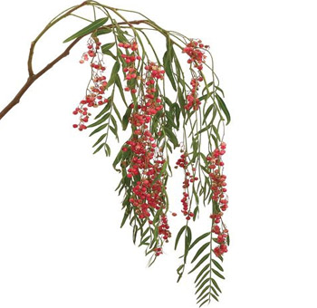 Berries