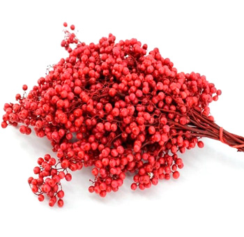 Classic red dried pepperberry offering festive charm, ideal for holiday weddings, vibrant gifts, or seasonal designs.