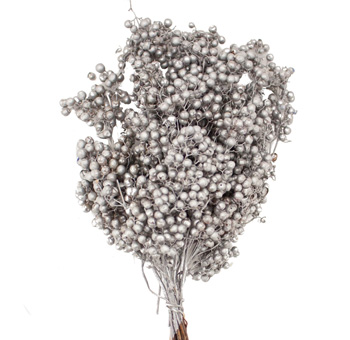 Silver pepperberry dried for cool-toned weddings, winter events, or premium metallic floral designs.