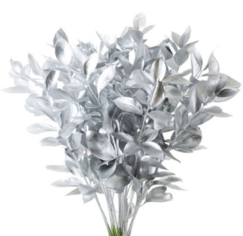 Silver dyed ruscus with metallic texture, perfect for weddings, holiday events, and floral styling.