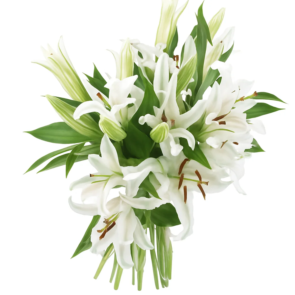 Elegant white oriental lilies arranged in a lush centerpiece, perfect for weddings, events, and romantic floral gifts.