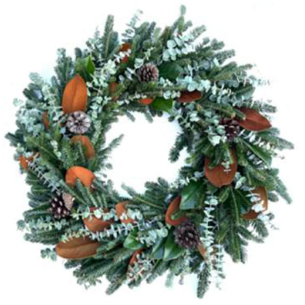 Christmas Wishes Wreath with Fraser Fir, Baby Blue eucalyptus, Magnolia leaves, and Pine Cones.