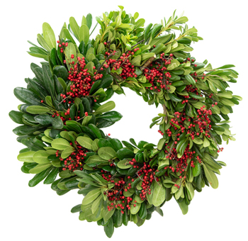 The Grinch Wreath with glossy green leaves and red berries. A festive and playful holiday decoration for doors, mantels, or walls.